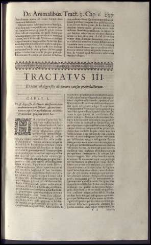 251