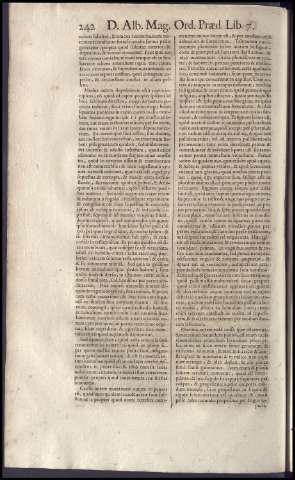 256