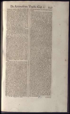 261