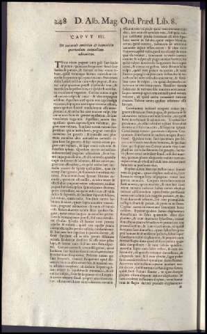 262