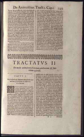 263