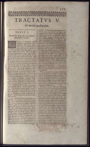 291