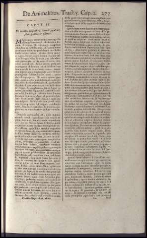 293