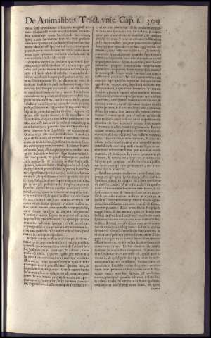 325