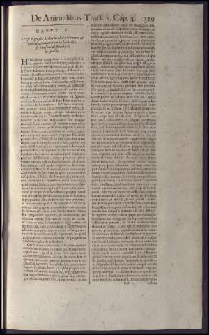 335