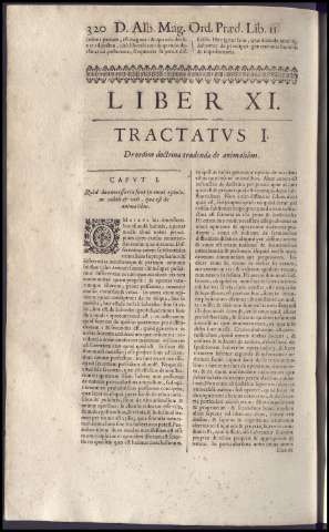 336