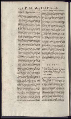 364