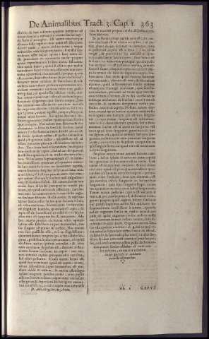379