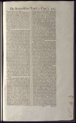 383