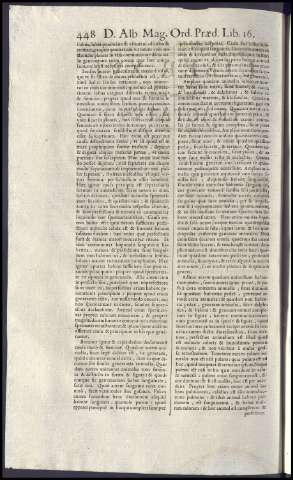 464