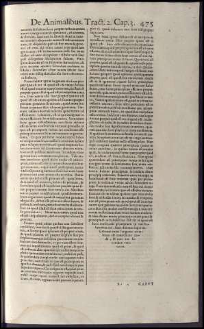 491