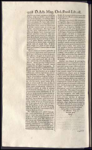524