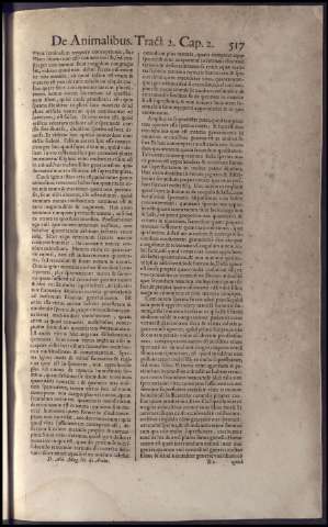 533