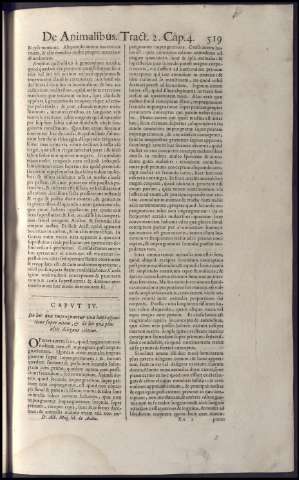 535