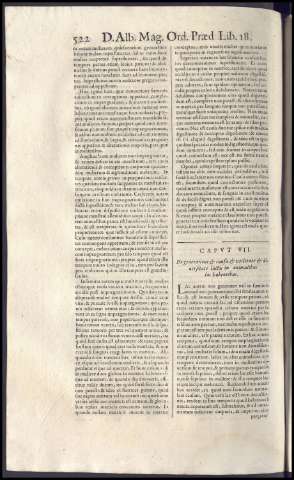 538