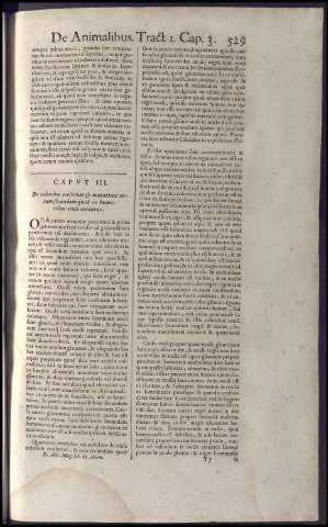 545