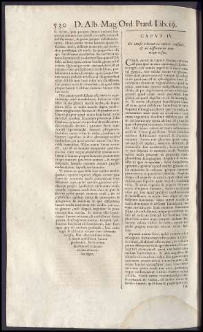 546