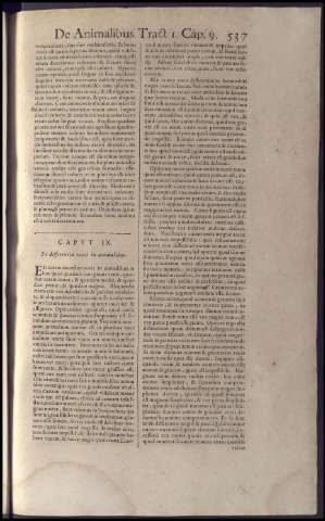 553