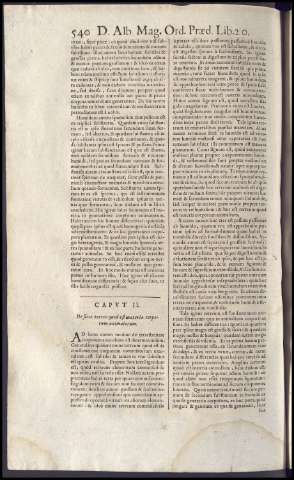 556