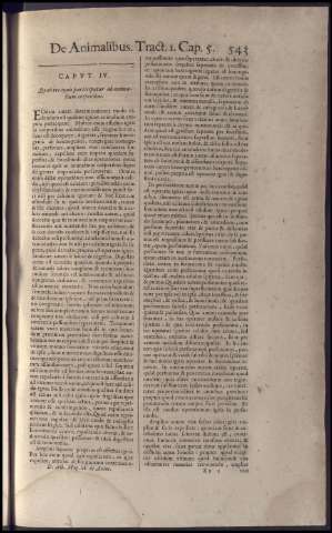559