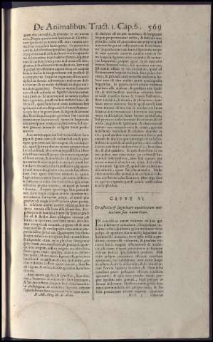 585