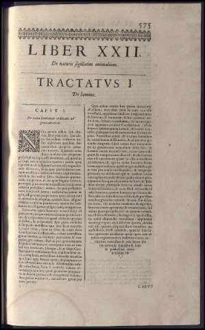 591