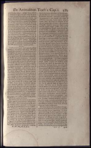 597