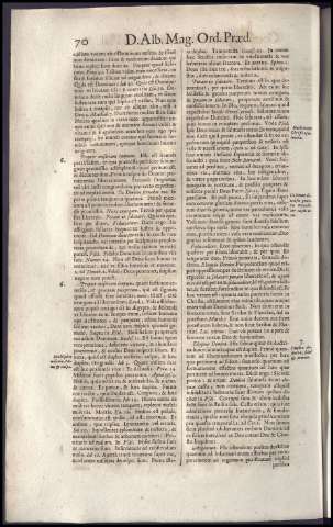 78