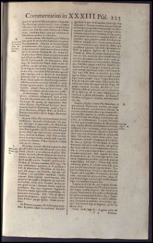 231