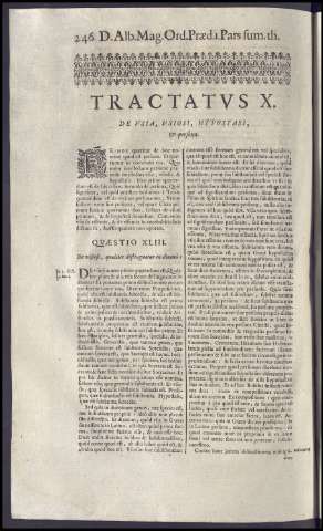 262