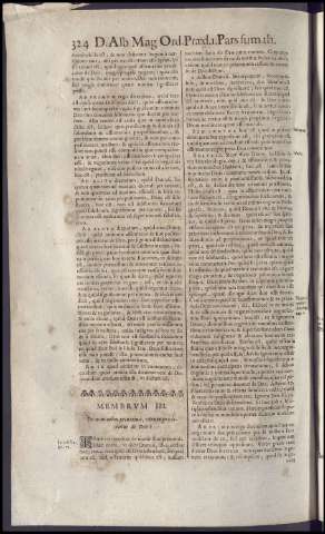 338