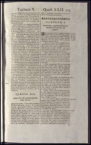 291